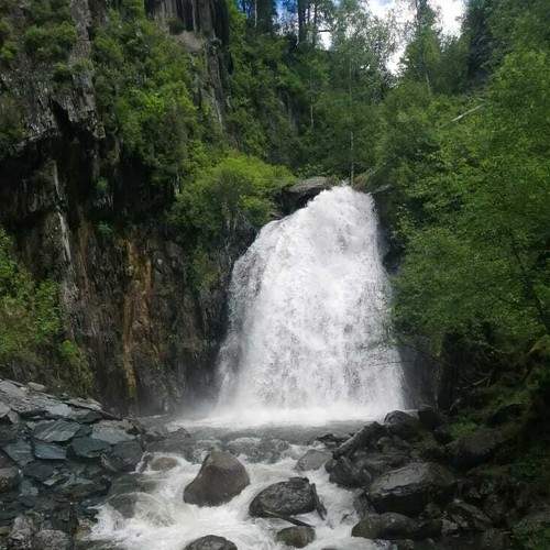 Photo #7893806
