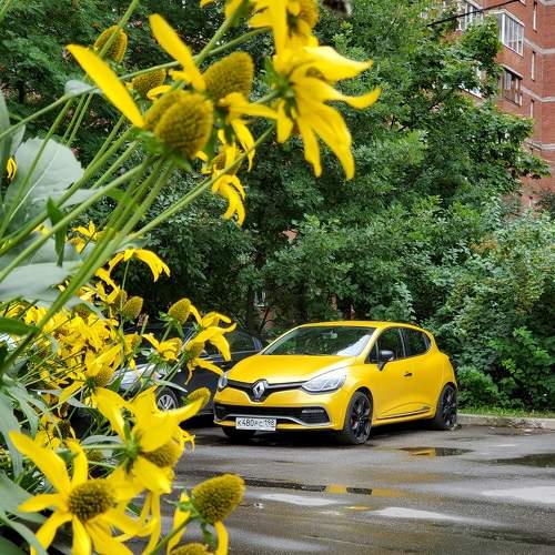 Photo #7893876