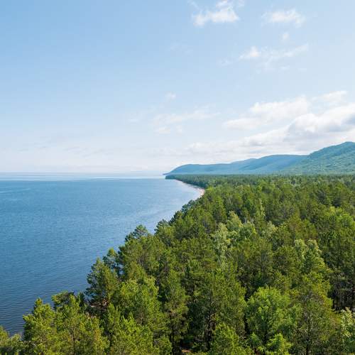 Photo #7893893