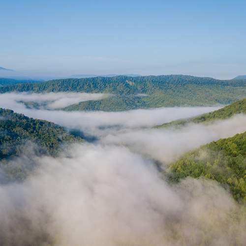 Photo #7894030