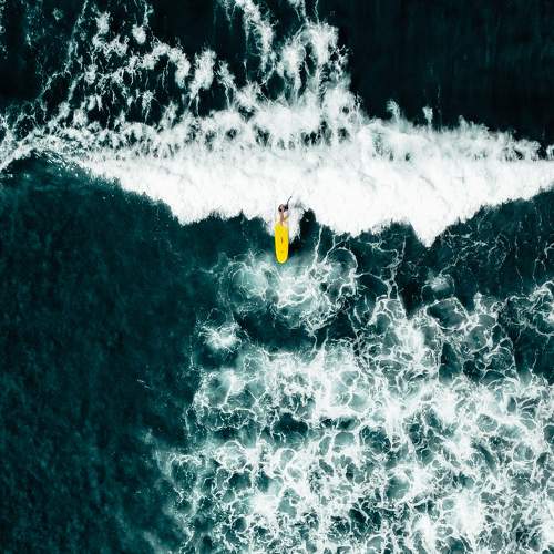 Photo #7894129