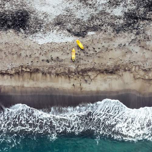 Photo #7894141