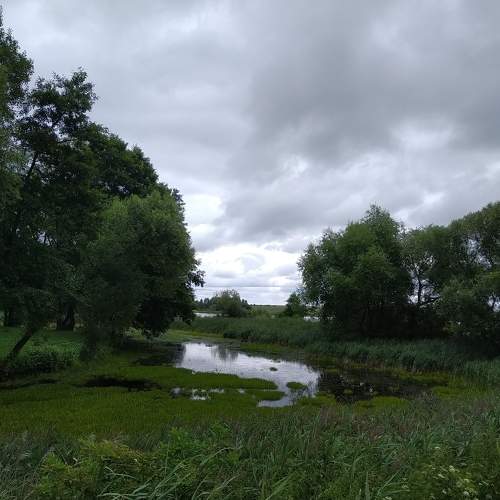 Photo #7894146