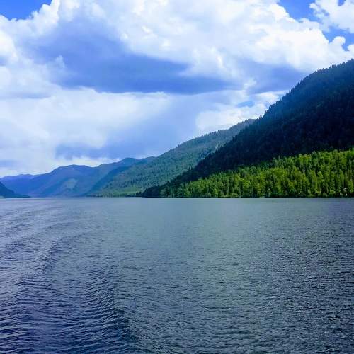 Photo #7894423