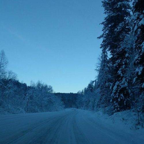 Photo #7894521