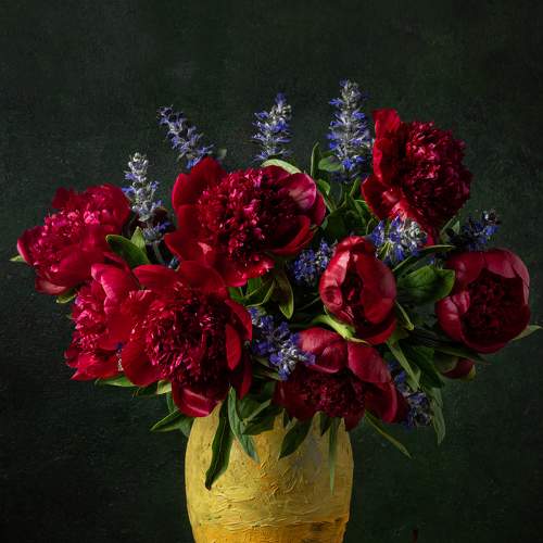 Photo #7894673