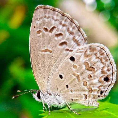 Photo #7894783
