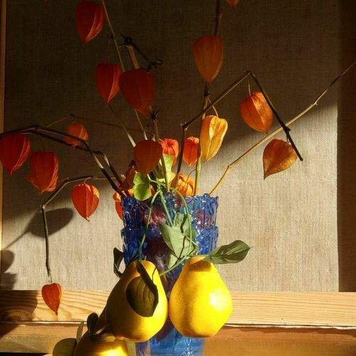 Photo #7894812