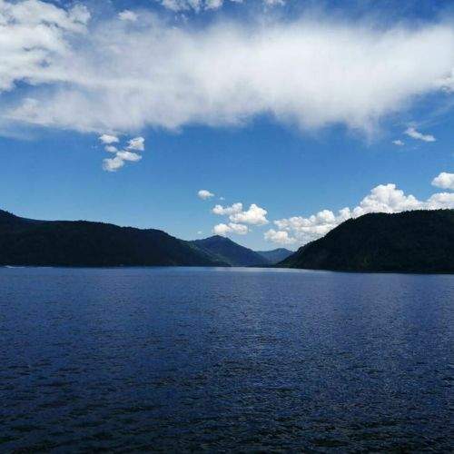 Photo #7894826