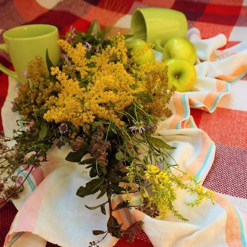 Photo #7894955