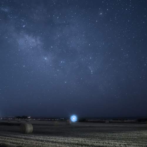Photo #7895137