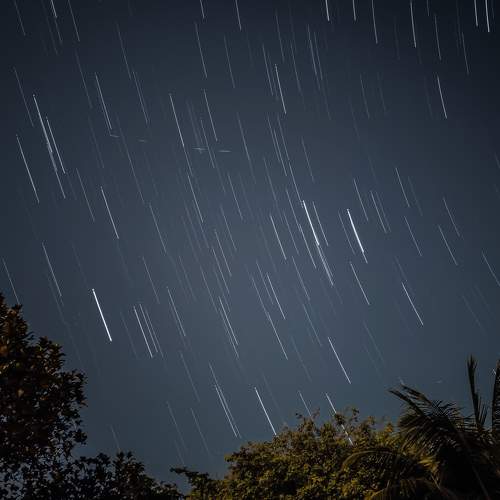 Photo #7895832