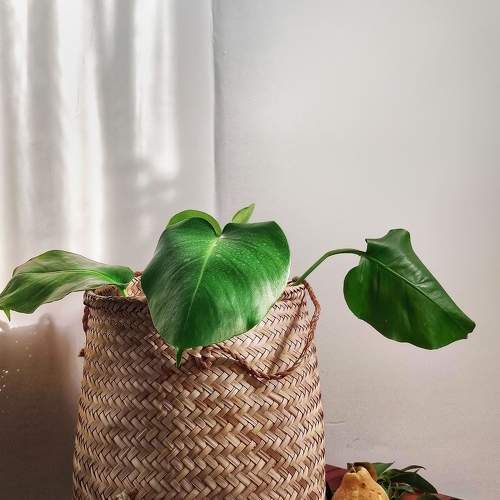 Photo #7896574