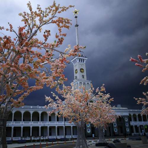 Photo #7896766