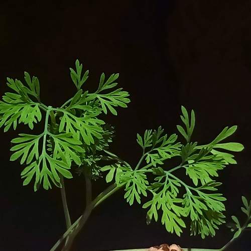 Photo #7897151