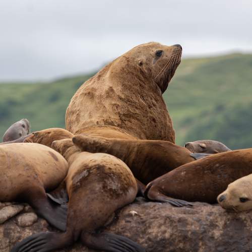Photo #7897308
