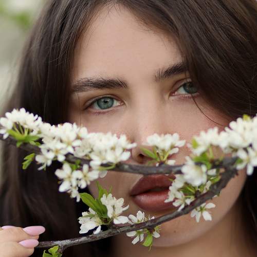 Photo #7897421