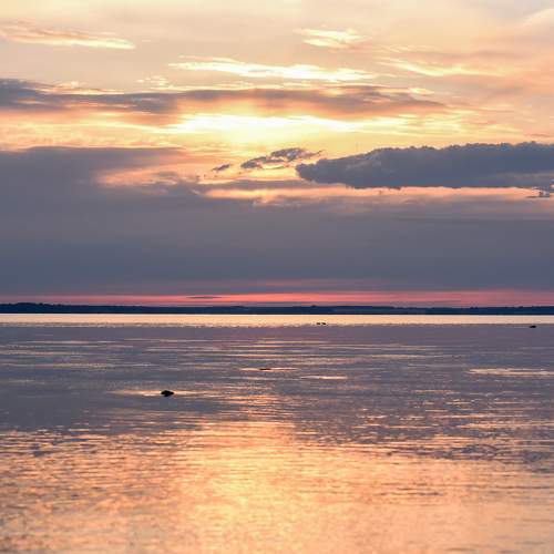 Photo #7897443