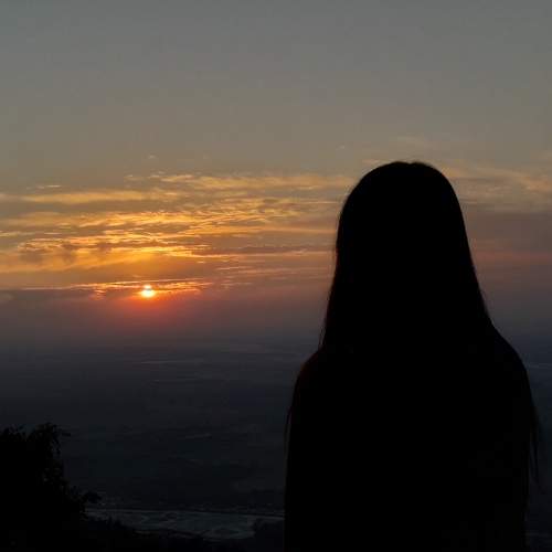 Photo #7897615