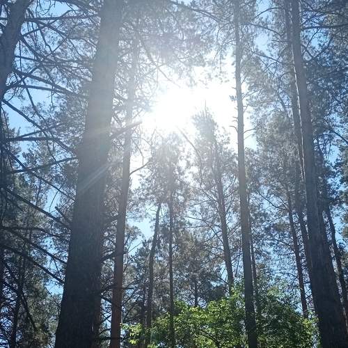 Photo #7897847