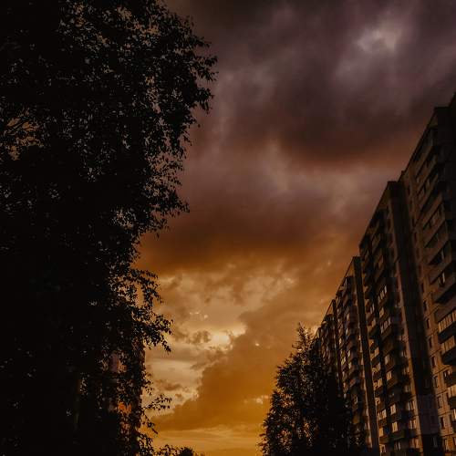 Photo #7897861