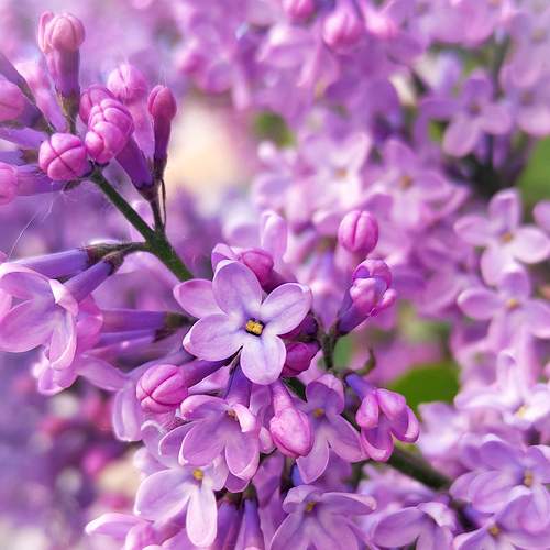 Photo #7898553