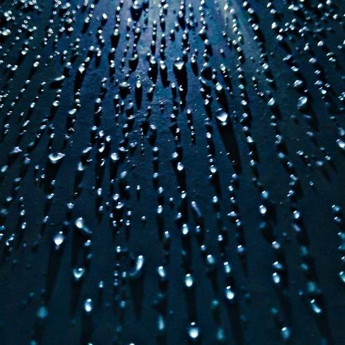Photo #7898624