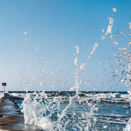 Photo #7898654