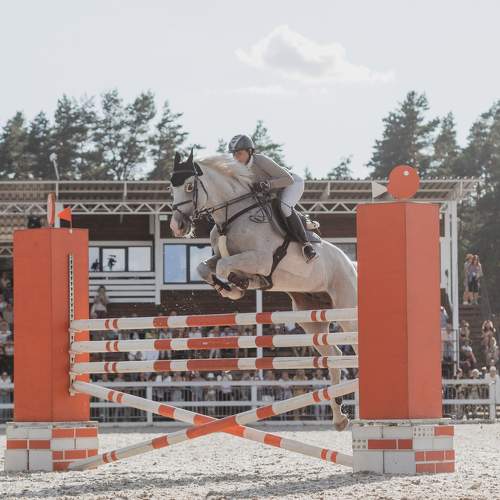 Photo #7898678