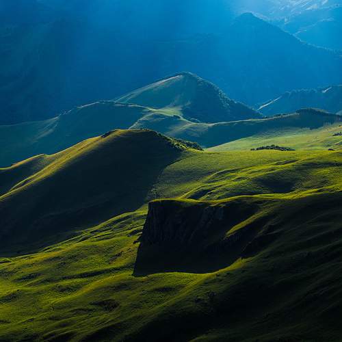 Photo #7898932