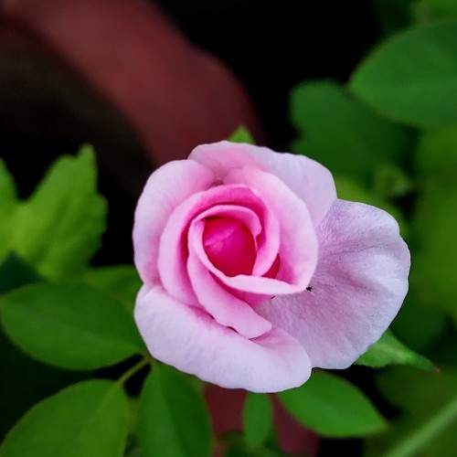 Photo #7899383