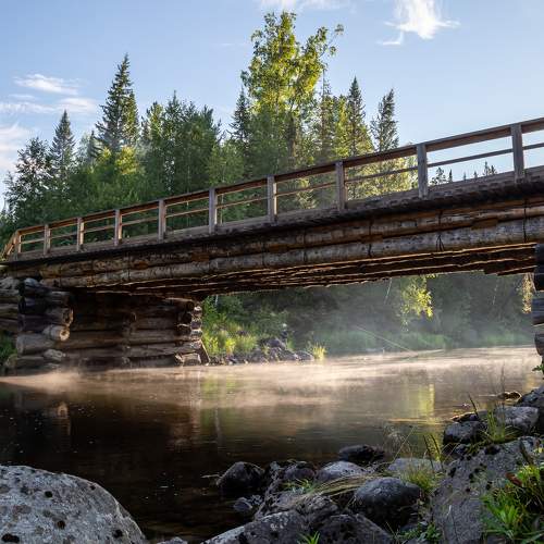 Photo #7899478
