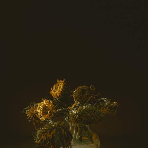 Photo #7899588