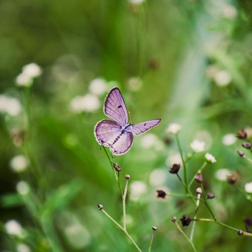 Photo #7899911