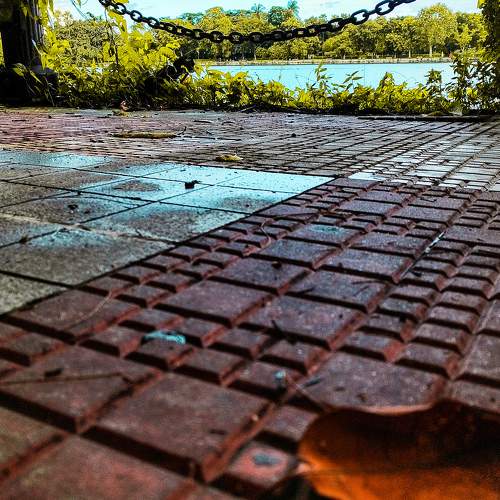 Photo #7900834
