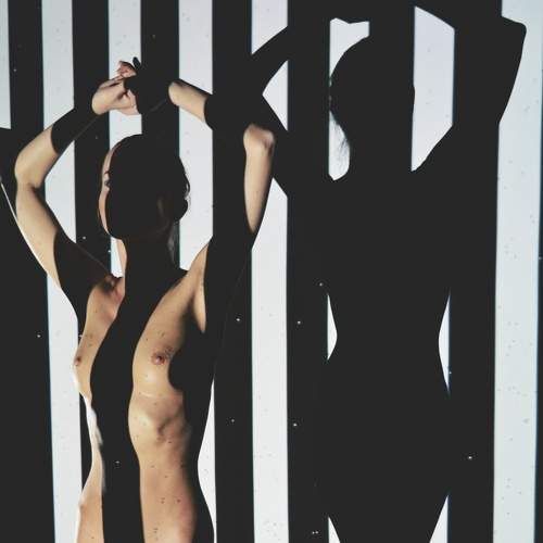 Photo #7901031