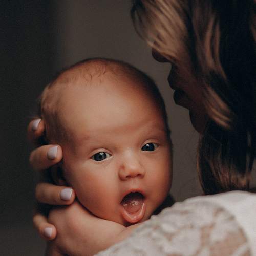 Photo #7901192