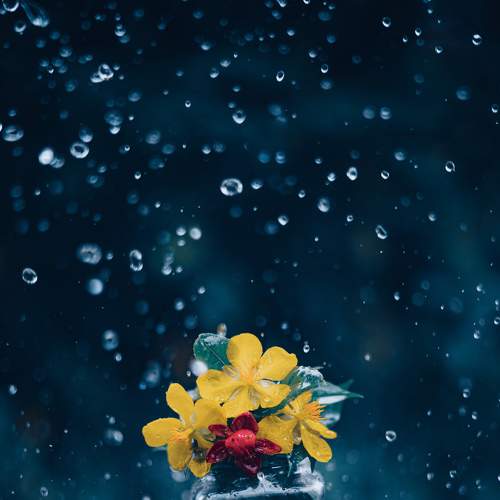 Photo #7901408