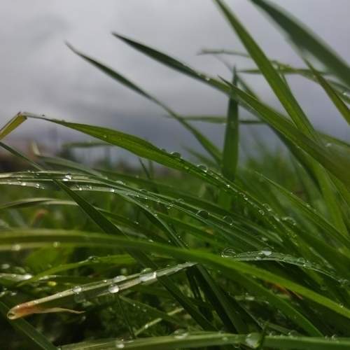 Photo #7902155