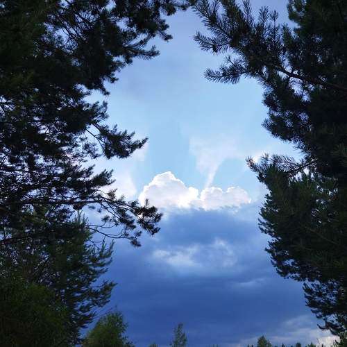 Photo #7902282