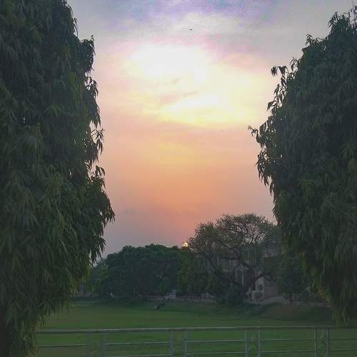 Photo #7902379