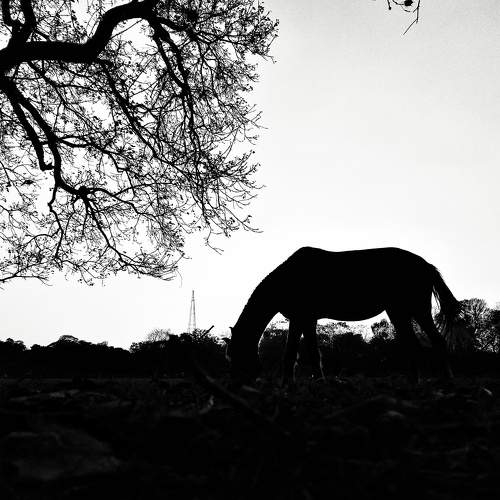 Photo #7902583