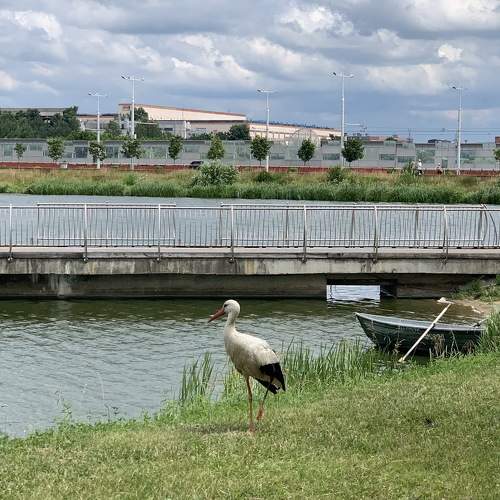 Photo #7902626