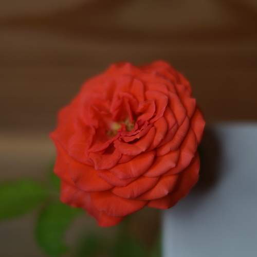 Photo #7905312