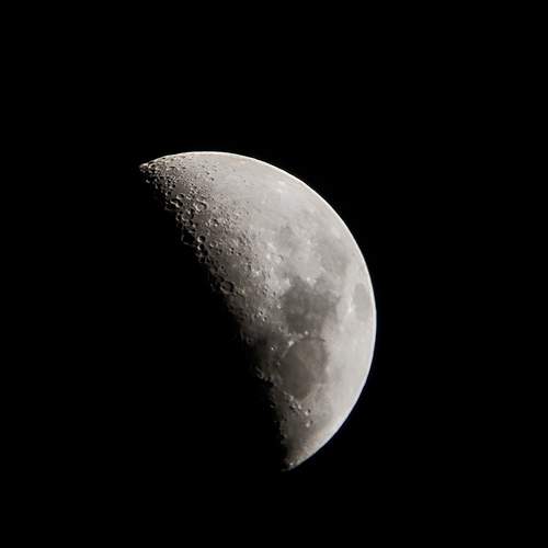 Photo #7905895