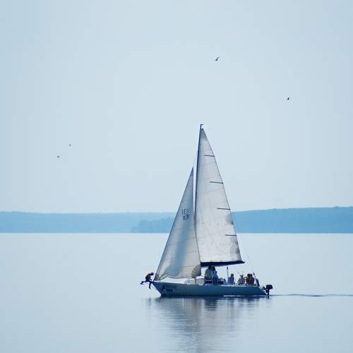 Photo #7906503