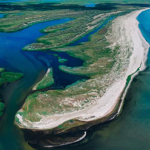 Photo #7906588