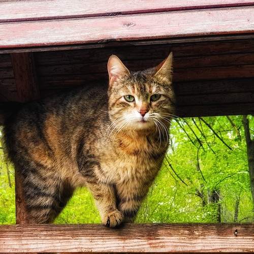 Photo #7906874