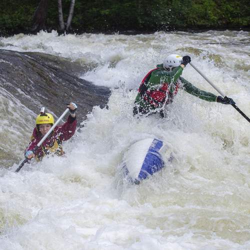 Photo #7907374