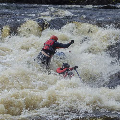 Photo #7907388